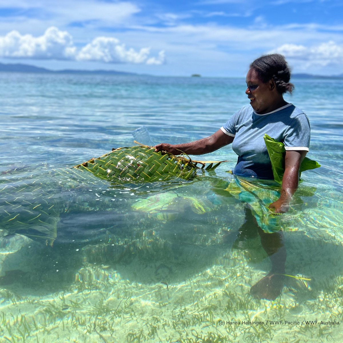 WWF_Australia tweet media
