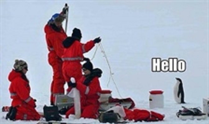 RldUp's tweet image. A Day For Penguins riledupjournal.com/a-day-for-peng…