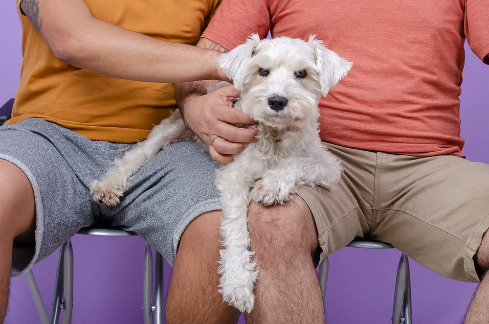 K9Kinetics1's tweet photo. Why is keeping up with medical care good for the well-being of your dog? Contact us on our website or click the link and read our blog today for more information! We are here for you. #doglife #dognutrition #dogtraining #doglovers https://t.co/RigDMQJMz6 https://t.co/LqX4KSdtns