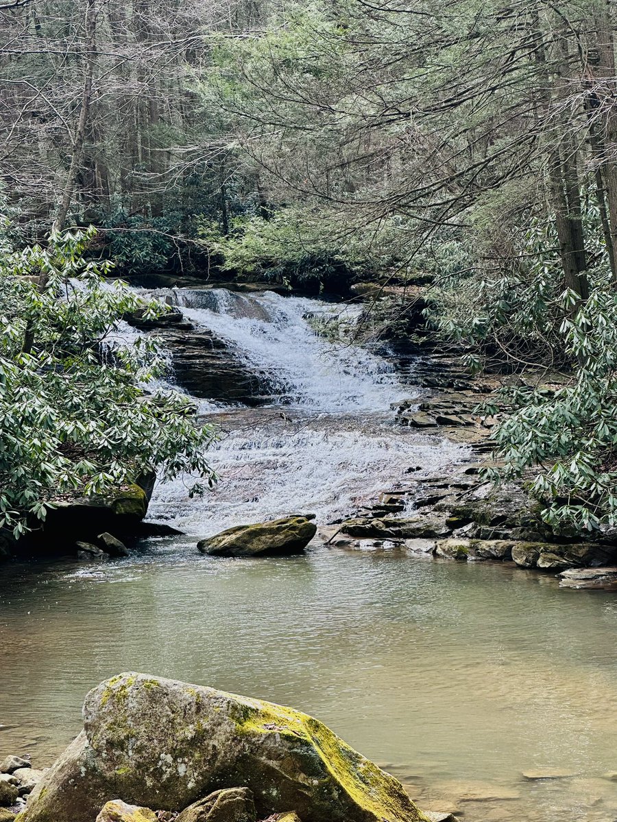 juliechristie74's tweet photo. Went on a nice little hike today in search of a waterfall. Didn’t quite find the one I was hoping to, but I found the other one! This one is called Big Splat. Romeo was a great companion as always!  #WaterfallChaserChallenge #MyAdventureChallenge #nature #hiking #smileanyway https://t.co/uztjxlAjX6