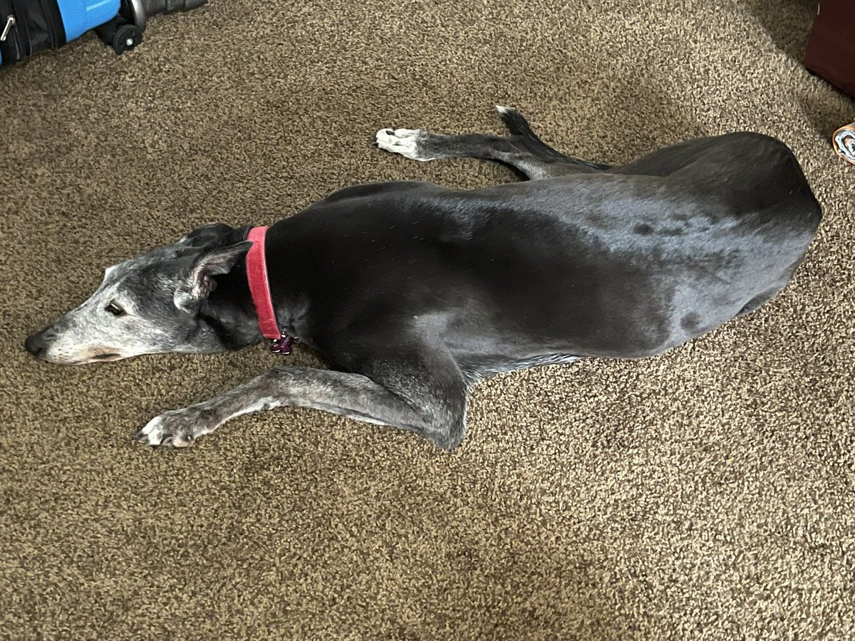 wardreed's tweet image. I was stressed about the FTP test, almost as much as some marathons I’ve done.  Went from 192 to 215.  I’m pleased.  Stormy is less impressed