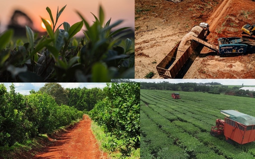 Zona especial productiva e industrial de Misiones,
primer paso: dólar diferencial para los productos misioneros.