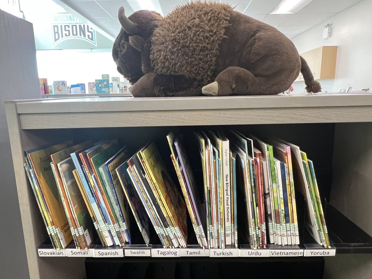 We’re lucky to have such a diverse school community <a href="/WascanaPlains/">Ecole Wascana Plains</a>. I spent some today updating our multilingual library to ensure it reflects the 37+ languages spoken by our learners ♥️ <a href="/RegPublicSchool/">Regina Public Schools</a>
