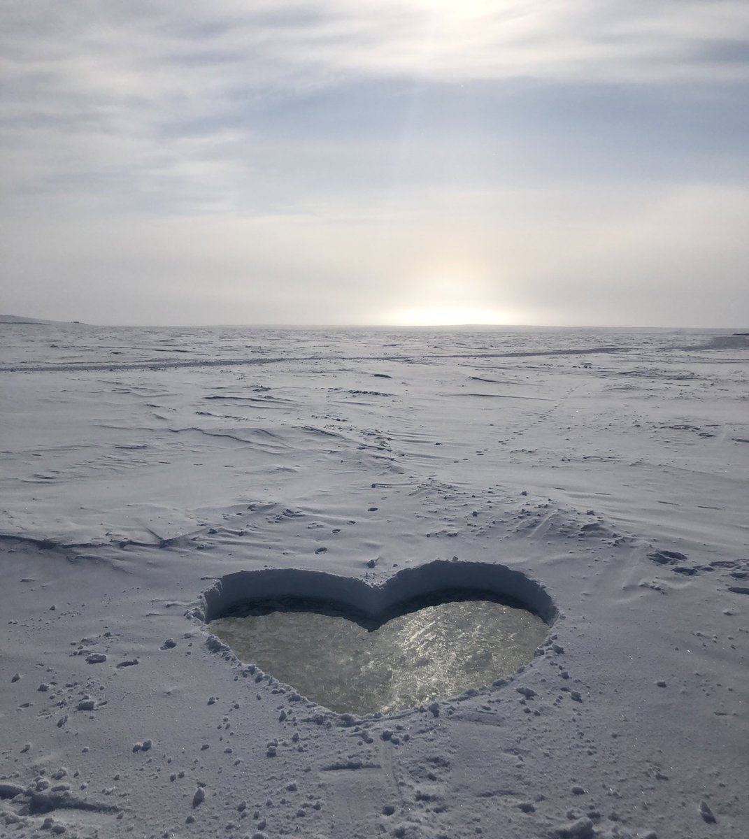 Marie Dumont (@mpneige) on Twitter photo From the Arctic with love … ❄️🥰
Snow on sea ice measurements day ….
<a href="/ivori_erc/">IVORI ERC Project</a> #ArcticSnowSchool2023 From the Arctic with love … ❄️🥰
Snow on sea ice measurements day ….
<a href="/ivori_erc/">IVORI ERC Project</a> #ArcticSnowSchool2023