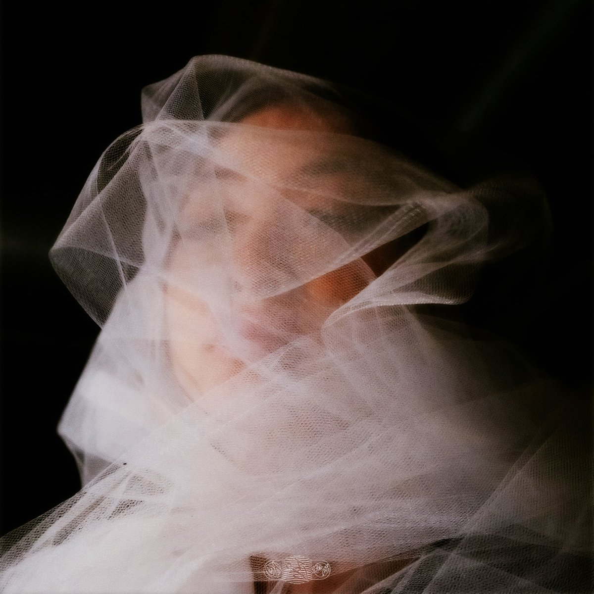 OpenaOpena's tweet image. 