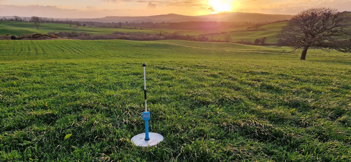 Grass starting to rock in West Cork 😎