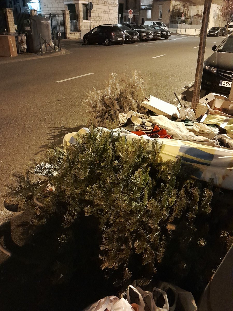 Drassilam1's tweet photo. 2 pour le prix d'un ! #chasseursdesapins https://t.co/QBq95r7iXV