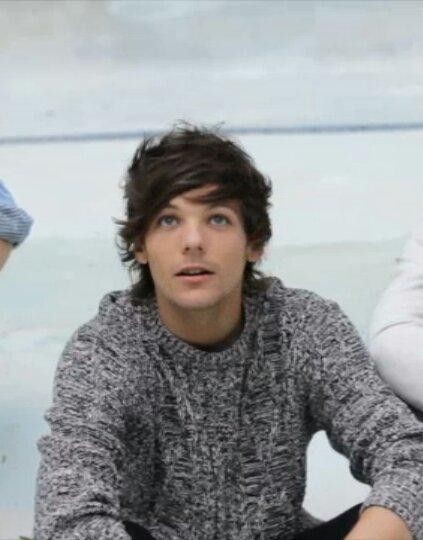 louis hedgehog (@lhdgehog) on Twitter photo 