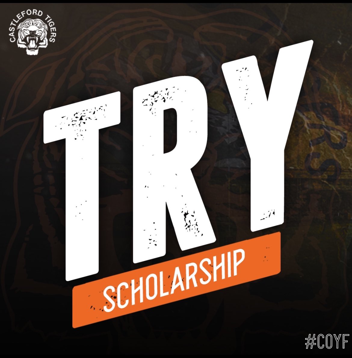 TRYYYY!

A late shot gives the Tigers the ball in the Wakefield 10m.

The halfbacks shift wide and Sean Coughlan crashes over.

🐅 12-0 ⚜️

#ONECLUB