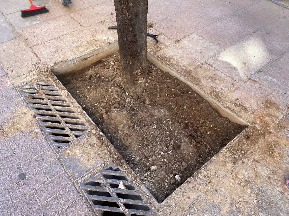 neusgonzalez's tweet photo. Un nou #eskocell verd 💚
Abans i ara 💪🏾
Gracies x les plantes @eskocells
Encara ens en queda alguna pero es massa petita i la posarem quan alguna sens mori
Les seguim cuidant al balconet fins q les plantem
@Bcn_NouBarris #noubarris #9barris @BCN_Ecologia @brisade1 @MiquelRoman https://t.co/nRXhRhP6tM
