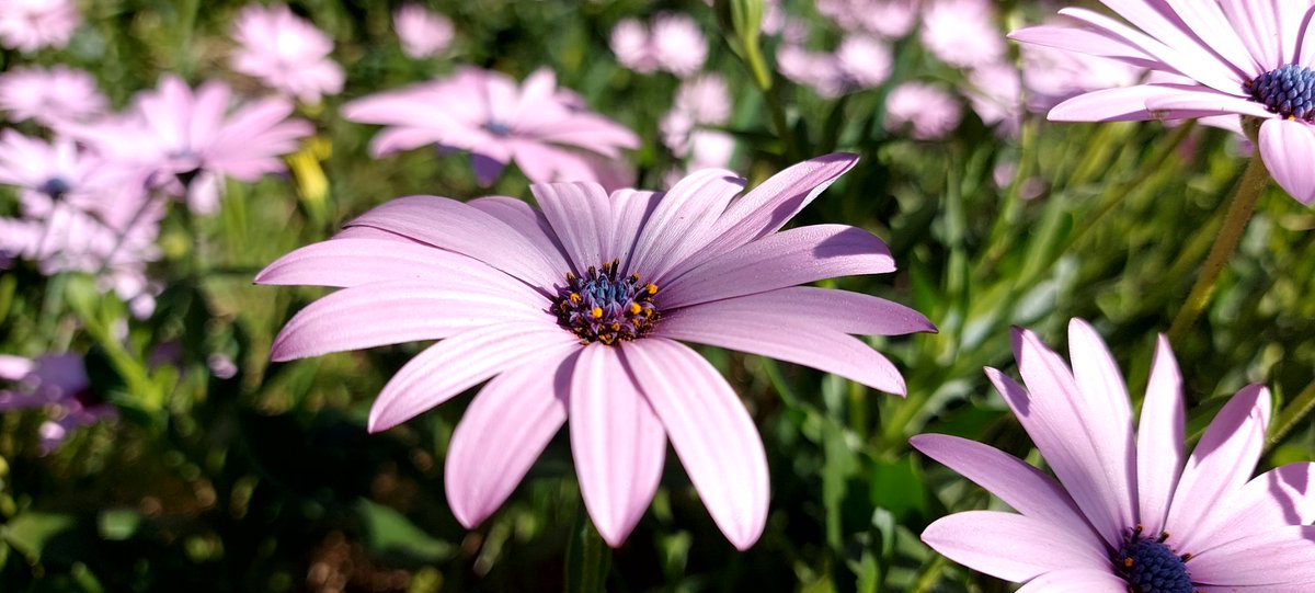 felicituit's tweet image. I això és tot
I ara no em cal res més
#primavera #casa #bonvespre