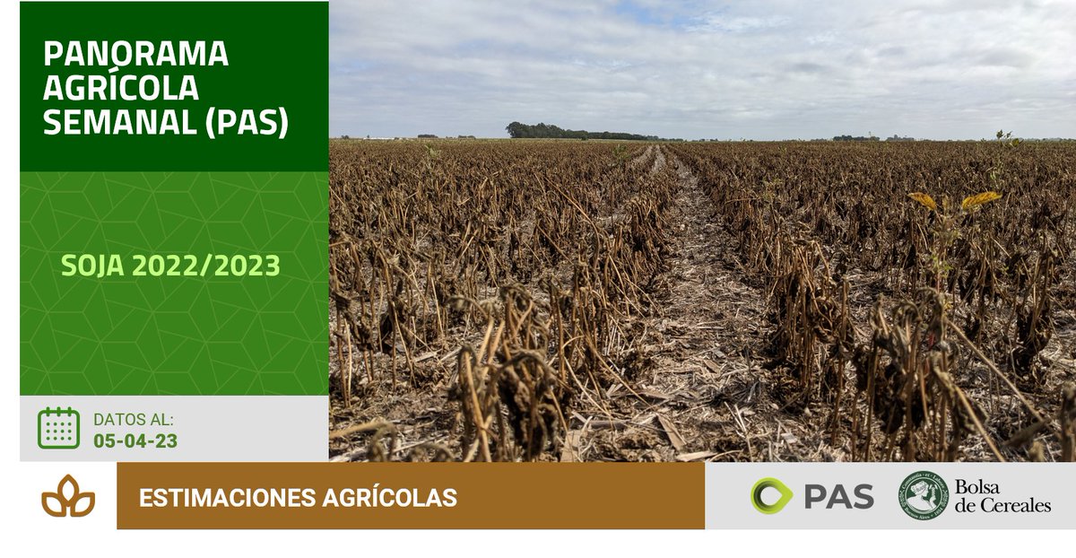 BolsadeC_ETyM's tweet photo. Avanza la cosecha de cuadros de #soja🌱de primera en el centro del área agrícola informando rendimientos por debajo a los inicialmente esperados.
Más información en el último #PAS📄 #DatosPAS
👉https://t.co/fwvwUQ6Q2e https://t.co/0xiXNfRtuo