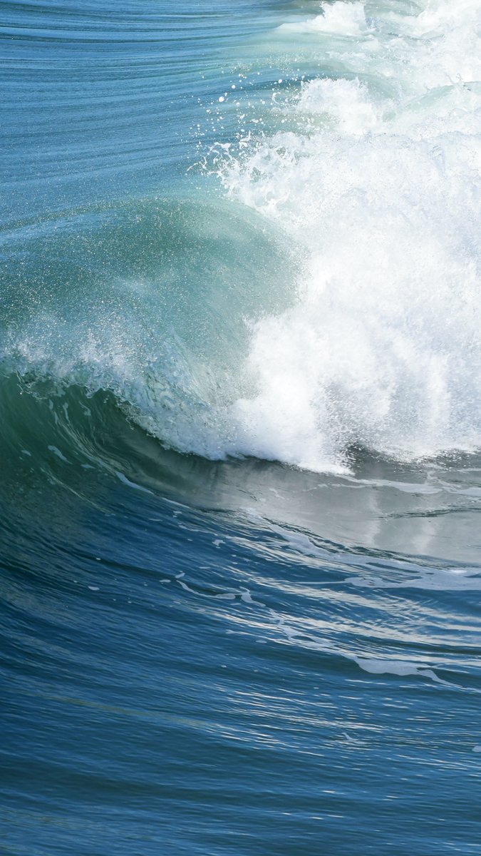 FCousteauOLC's tweet photo. Have you joined The Giving Wave yet? Your gift will support our Ocean conservation and coastal restoration work across the globe AND gift one of our Ocean Discovery Curriculum packs to the school of your choice! #FCOLC #ocean #oceanally #nonprofit #social #conservation #cousteau https://t.co/Z0CmWe1AkV