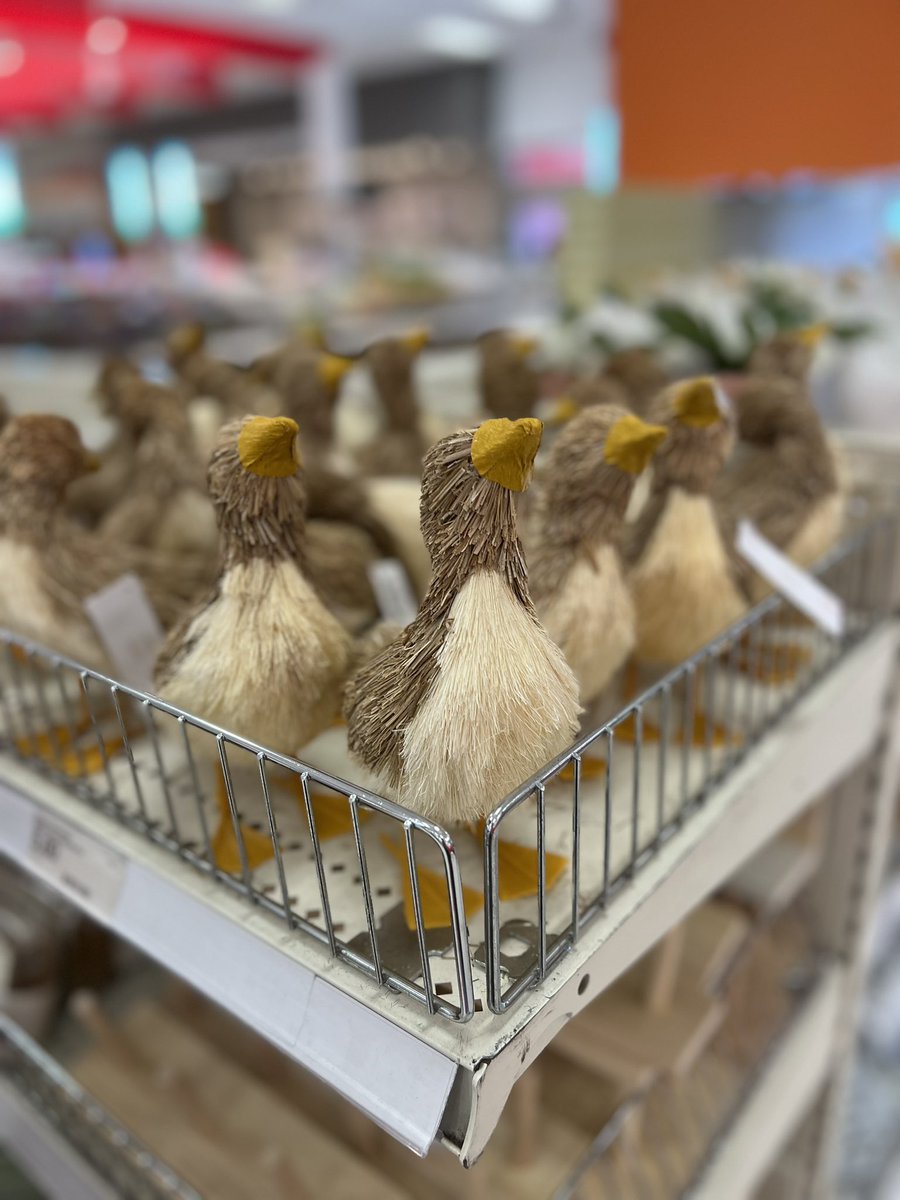 StevenRayMorris's tweet photo. Aren’t we all just silly little geese at the end of the day? https://t.co/ueQT00J1q1