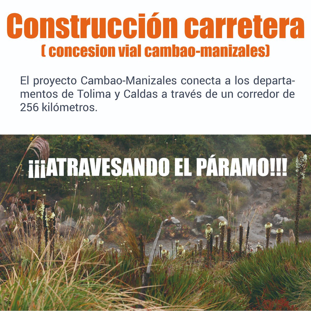 Movimiento SocioAmbiental Kumanday tweet media