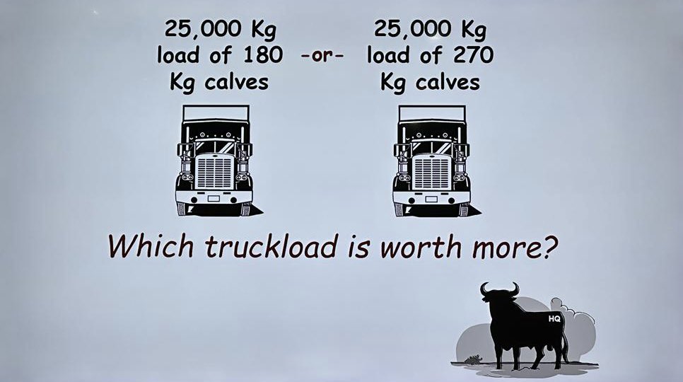 Sweetveld Farming tweet media