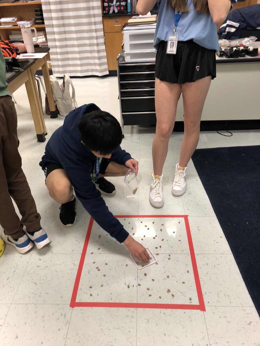 Diana Mitchell tweet media