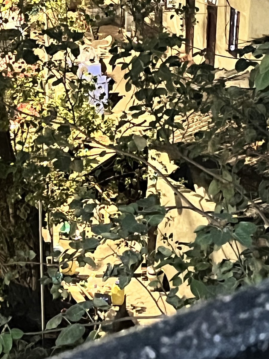 Da1GowaliaTank's tweet photo. @UghadeSharad what is response to this. You wasted your time &amp; #citizen tax paying money this morning. WHAT IS YOUR RESPONSE TO THIS PHOTO &amp; #EVIDENCE OF NO ACTION. #encroachers sleeping on footpath with all their belongings. @IqbalSinghChah2 you have to respond. @DGPMaharashtra https://t.co/lsgvdcChTx