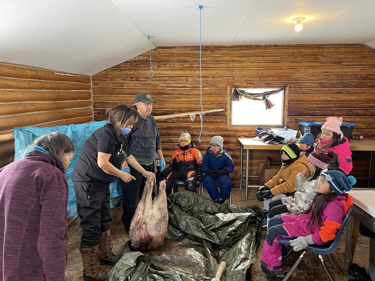 Chief Jimmy Bruneau School students (NWT) been working on winter hunt caribou, gaining knowledge from Tlicho leaders/elders. Traditional Knowledge passed to Dene youth creates 'two eyed seeing' approach. School is named after a great leader in Tlicho history, Chief Jimmy Bruneau.