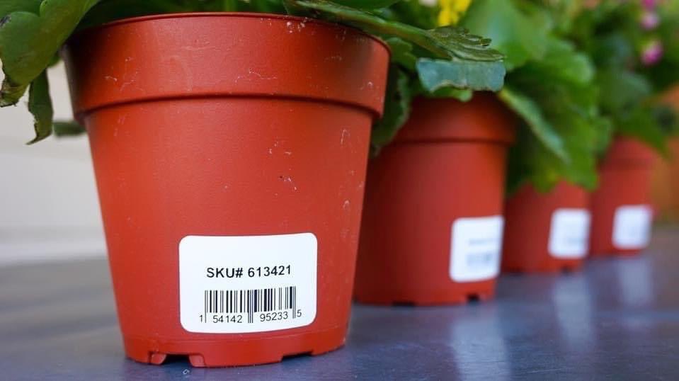 Extra durable outdoor labels for your nursery and horticulture needs! Here we have DuraReady’s #1016DD white BOPP labels, perfect for potted plants and flowers.

duraready.com

#diy #labels #durable #unique #print #custom #business #management #inventory #barcode #sku
