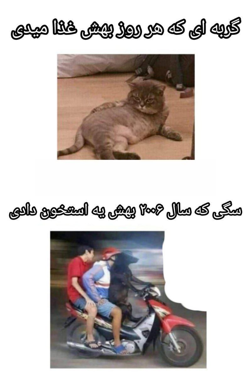 ولی این فکت تا ابد حقه