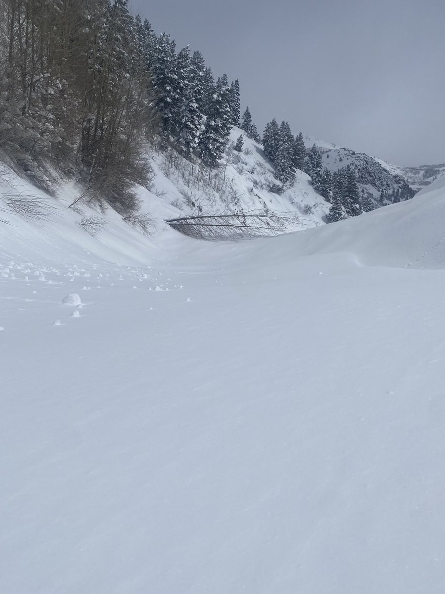 UDOTcottonwoods's tweet image. 🚧#RoadClosureUpdate🚧 
#SR190 remains closed for today. @UtahDOT slide debris clearing operations is underway. 

Still no ETO at this point. 

📍: Clearing at Laurel Pines ⬇️ 

@BrightonResort @SolitudeMTN @BrightonUT @CHCity @UPDSL @RideUTA @UDOTRegionTwo @UDOTTRAFFIC