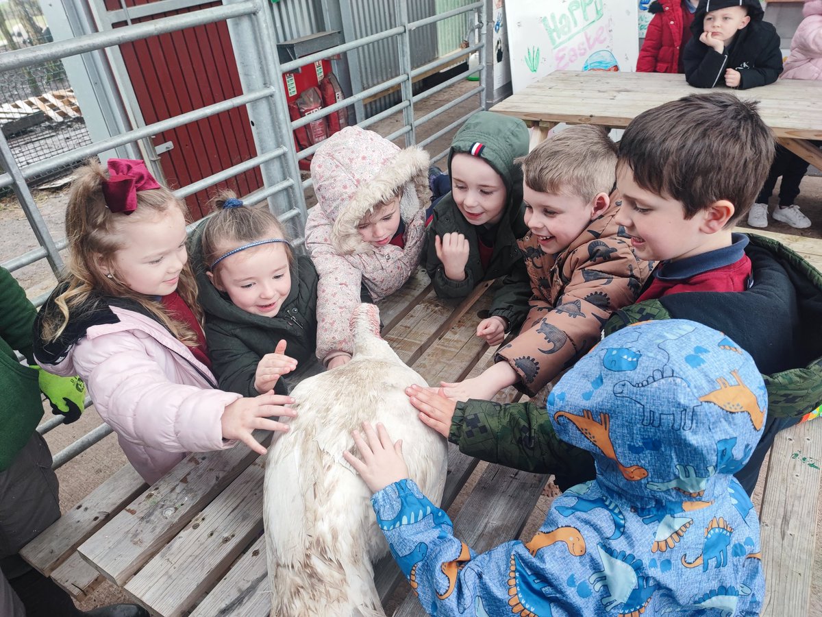ScoilaDroichid's tweet photo. Amharc ar na haghaidheanna beaga seo.... aoibh an gháire ar achan duine acu 😍 Bhí maidin iontach ag Rang 1 ar an fheirm. Bhuail na páistí le hainmhithe móra agus beaga.... agus le foireann den scoth! #Rang1 #AnFheirm #BéalFeirste #Sona #Sásta https://t.co/8GxJkJTzpv