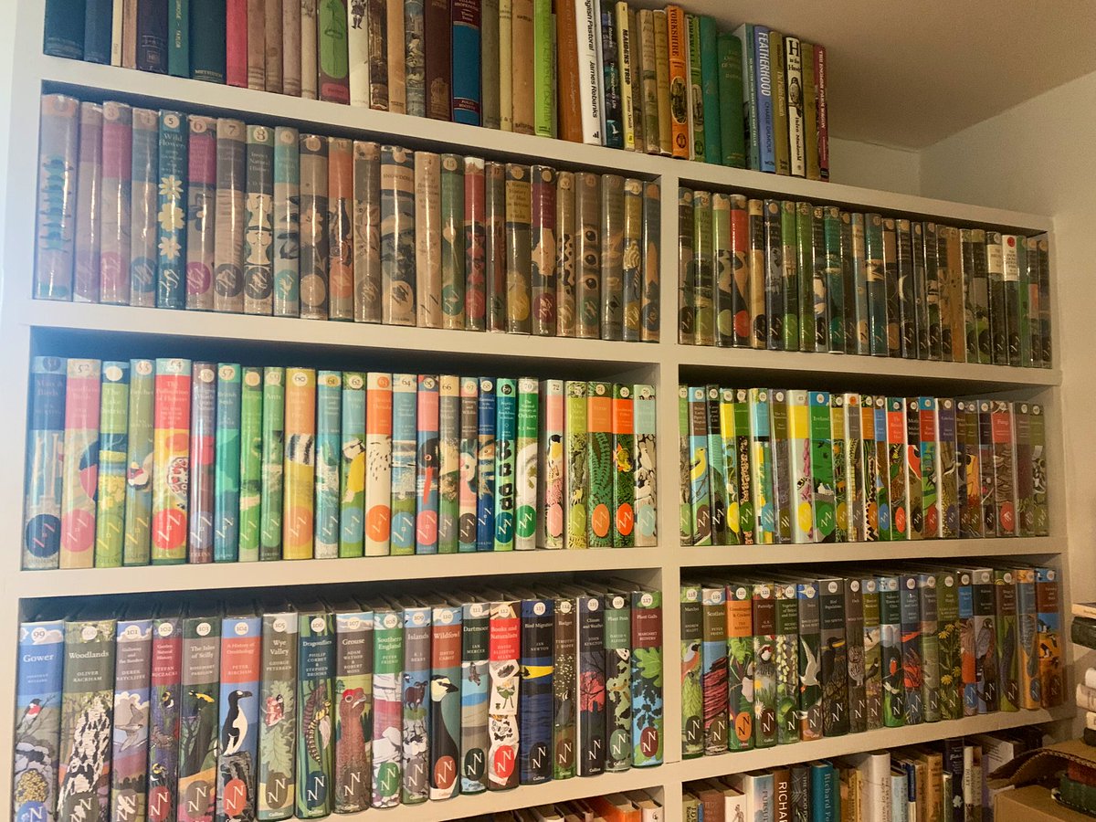 Little Toller 🇺🇦🇵🇸 tweet media