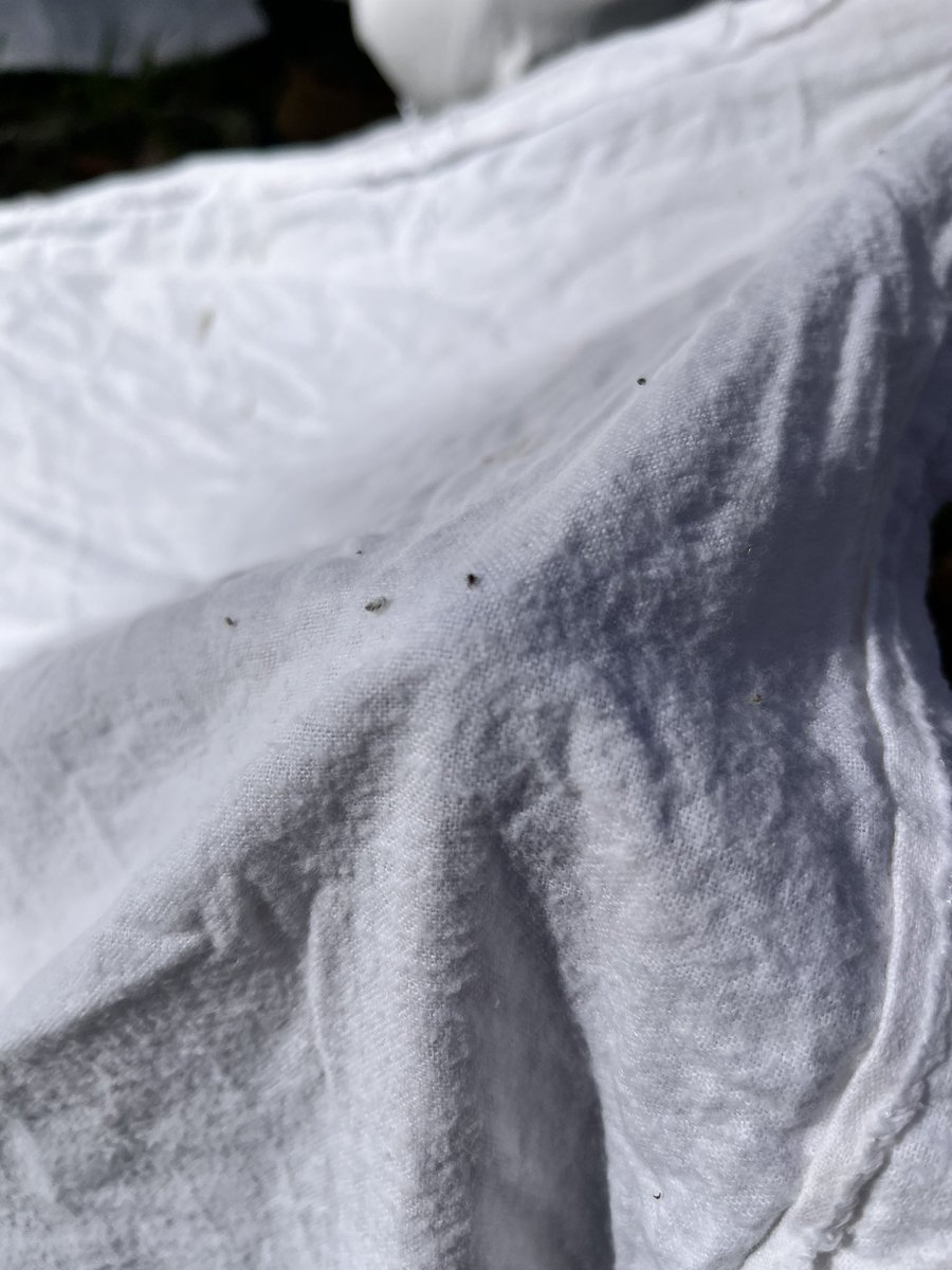 Swei Lab tweet media