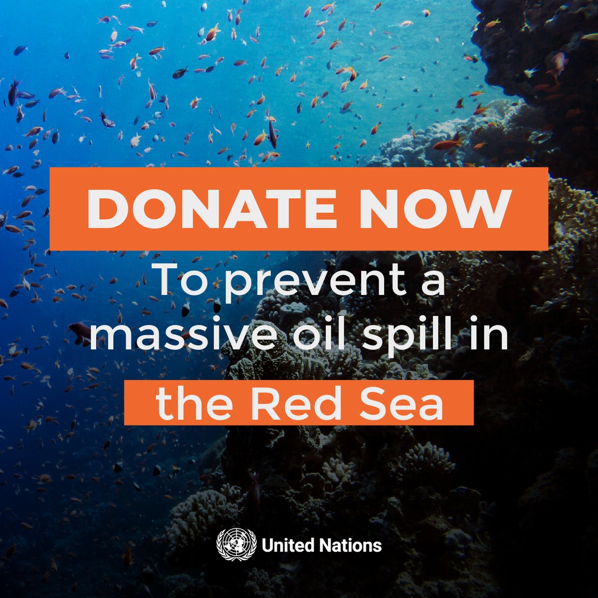 Urgent support is needed to prevent a major oil spill by the #FSOSafer tanker, stranded off the coast of Yemen.

A spill would destroy ocean ecosystems &amp; result in the loss of 200,000 fishing jobs &amp; the closure of crucial shipping ports.

You can help: un.org/StopRedSeaSpill