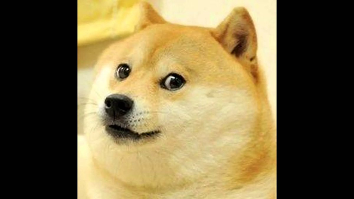 Zygorg_'s tweet photo. Why do we have a doge on the top left of twitter? https://t.co/UtTTboE6Ah