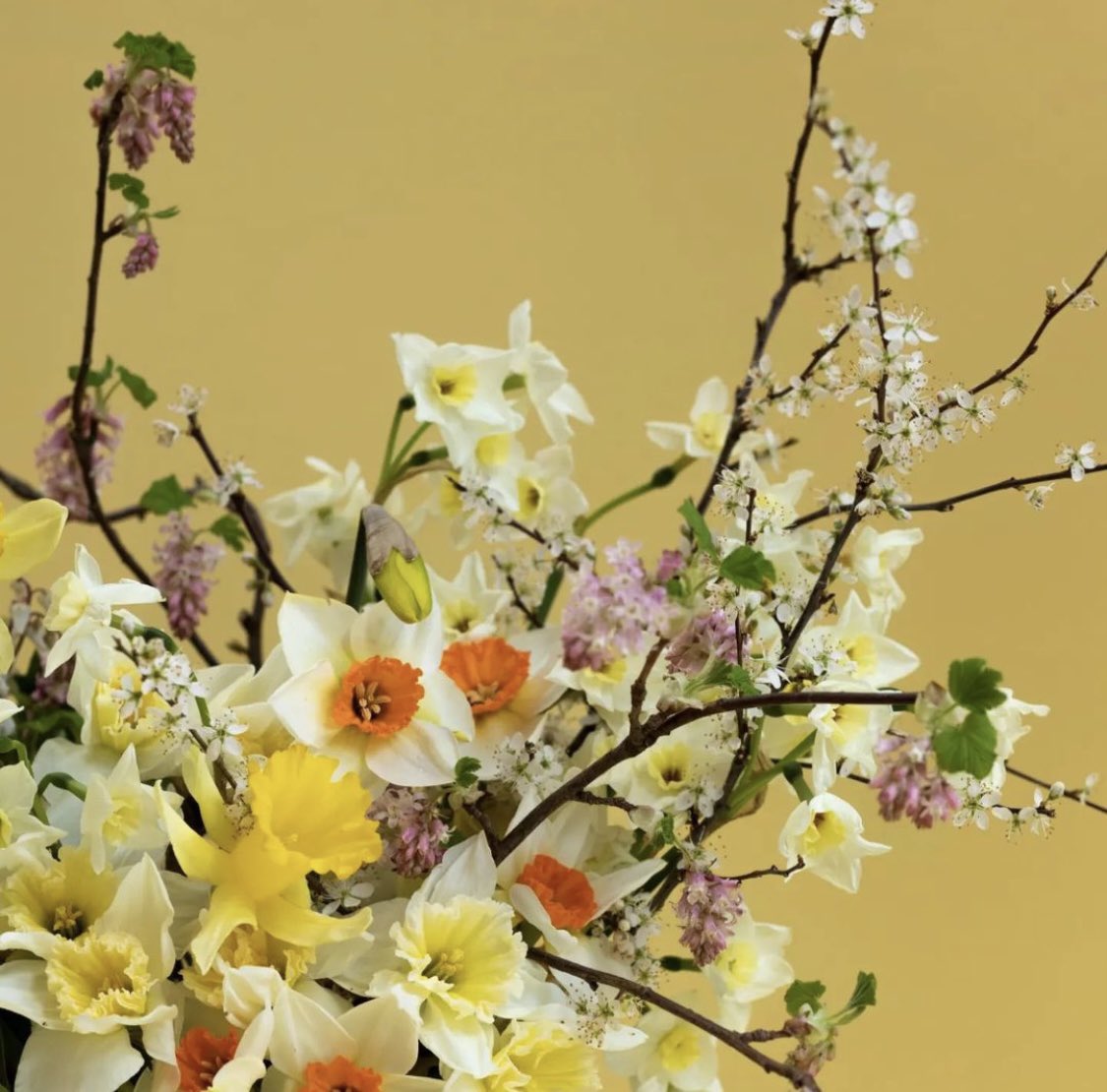 Flowers Grown In Scotland tweet media
