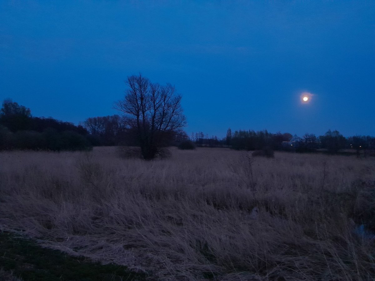 Moon, enlighten my mood! 🌕 #runningbeauty #peacefulnature