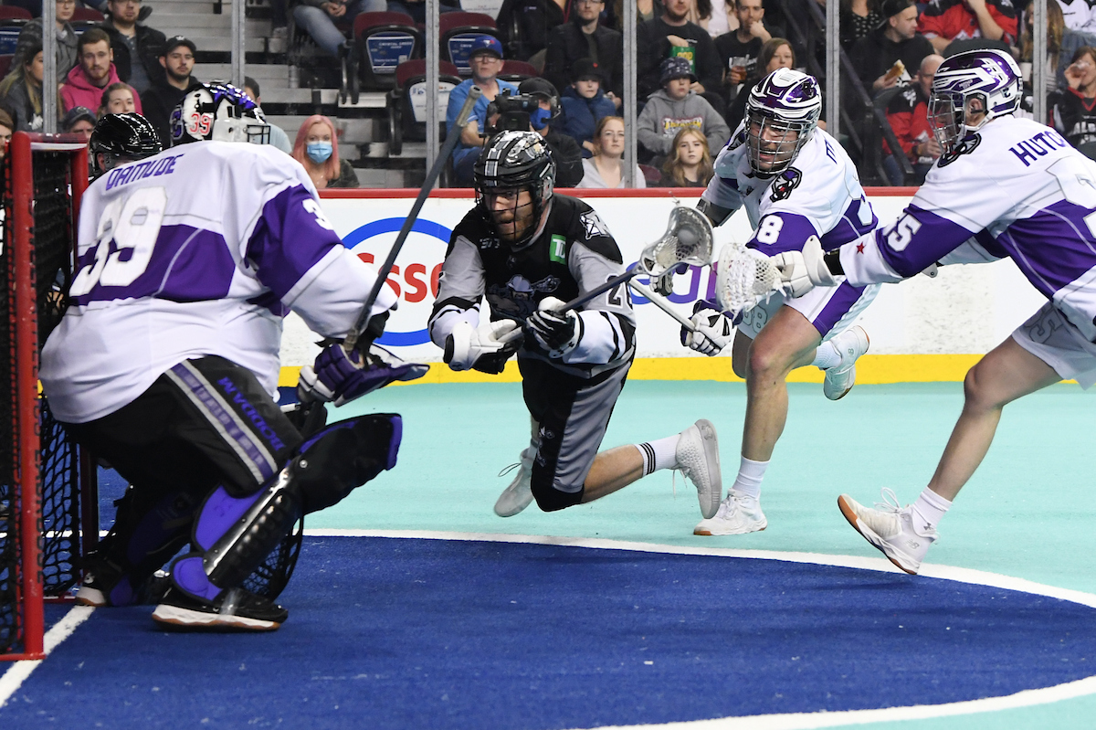 bradchall's tweet photo. They'll play twice over the next 3 weeks, and again potentially in the first round of the playoffs. @PantherCityLax and @NLLRoughnecks are the TSN Game of the Week Saturday night in Calgary. Giddy up. https://t.co/e4icIys0er