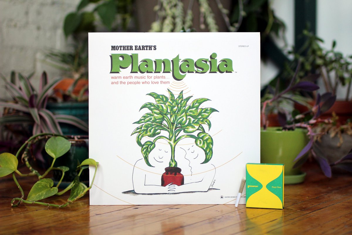 We have teamed up with <a href="/GossamerHQ/">Gossamer</a>  for a limited-edition set of Mother Earth’s Plantasia,  and Gossamer’s Happy Hour, CBG pre-rolls. purchase here: shop.gossamer.co