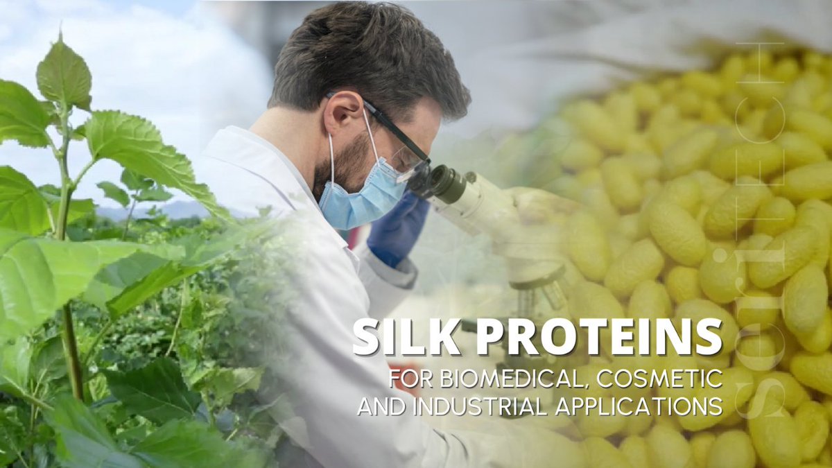 seritechglobal's tweet photo. The biocompatibility of silk proteins with humans allows for advanced developments in biomedical, cosmetic, and industrial applications. Their biocompatibility, biodegradability, and mechanical properties make them key players in medical applications. Read https://t.co/n1EHCzjrxn https://t.co/hVa2aorn0h