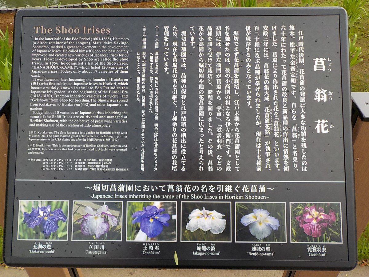 ほっとあいず（＝道海）™ tweet media