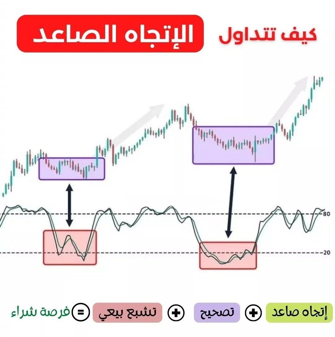 Blaze_D7's tweet photo. #شرح كيف تستفيد من مؤشر Stochastic Rsi والترندات الصاعدة في عمليات الشراء؟ 👇✨️

#BTC https://t.co/2eEI0mZHzB