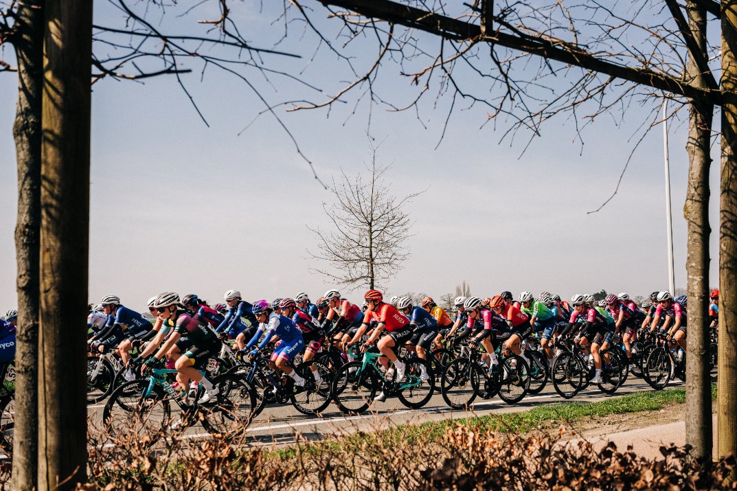 DropsCycling's tweet photo. A top day out @Scheldeprijs today

The team were active with many break attempts, but it wasn't until the local laps a break stuck, as Babette joined 6 other riders in the front.

The race came back together, as expected, with April taking out her first UCI top ten in the sprint https://t.co/mUKGp84v6d
