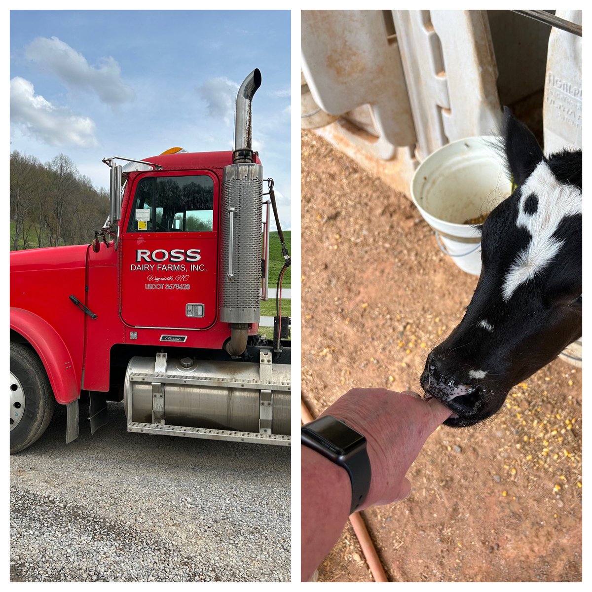 Anyone else get to visit a dairy farm 🐄 for work today?? #luckyme #NCFarmTour #undeniablydairy @JacketsLSHS @LCSJackets @CityCte @NCFCSEd @CTEforNC