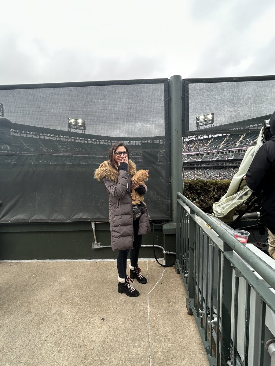lexlopez_'s tweet photo. So somehow we have found a cat… https://t.co/wLyAQVNnma