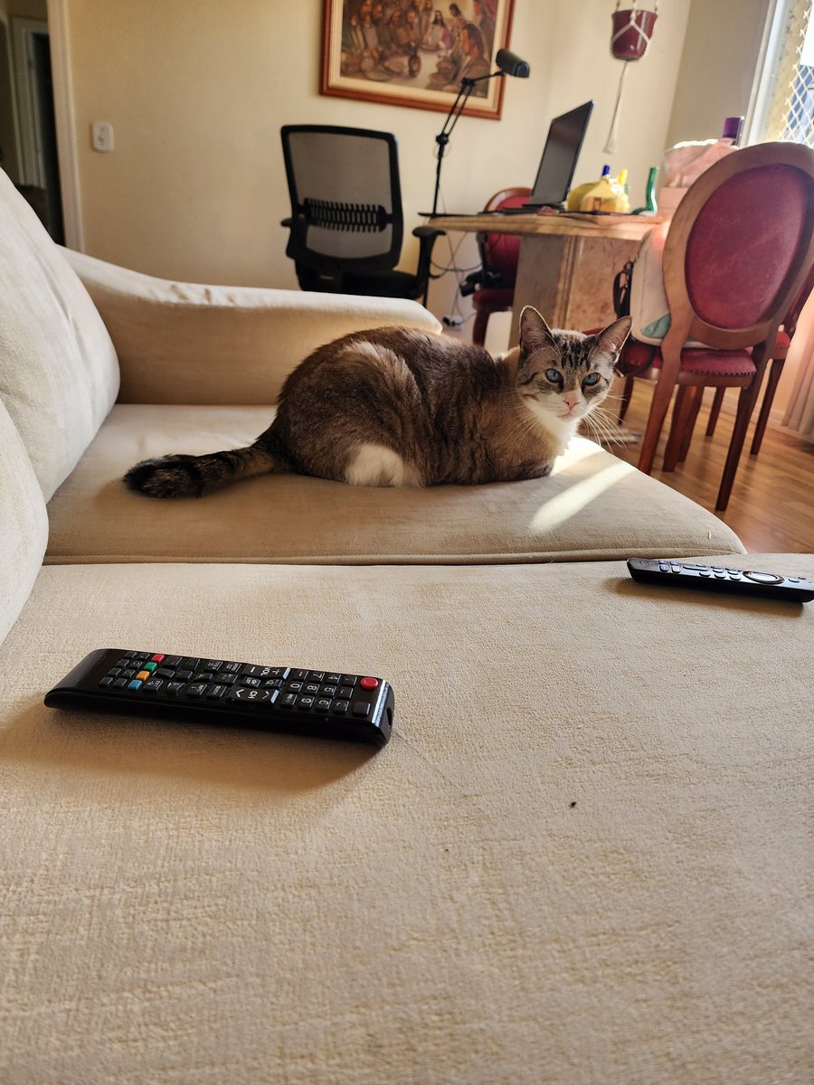 A photographer took a photo of Melog before and after telling him pss