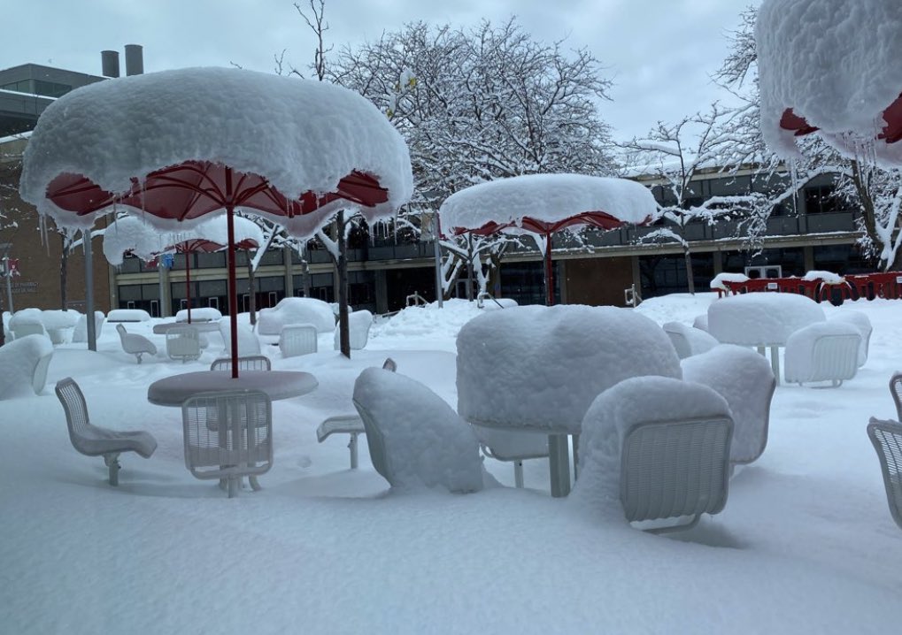 UUtah's tweet photo. While our @UofUFM team is doing their best removing snow after this monster storm, if you see areas that need attention, please call 801-581-7221 or visit the site below. 

🖥️ https://t.co/npg2uQoY4y https://t.co/ohjNDZKfH0