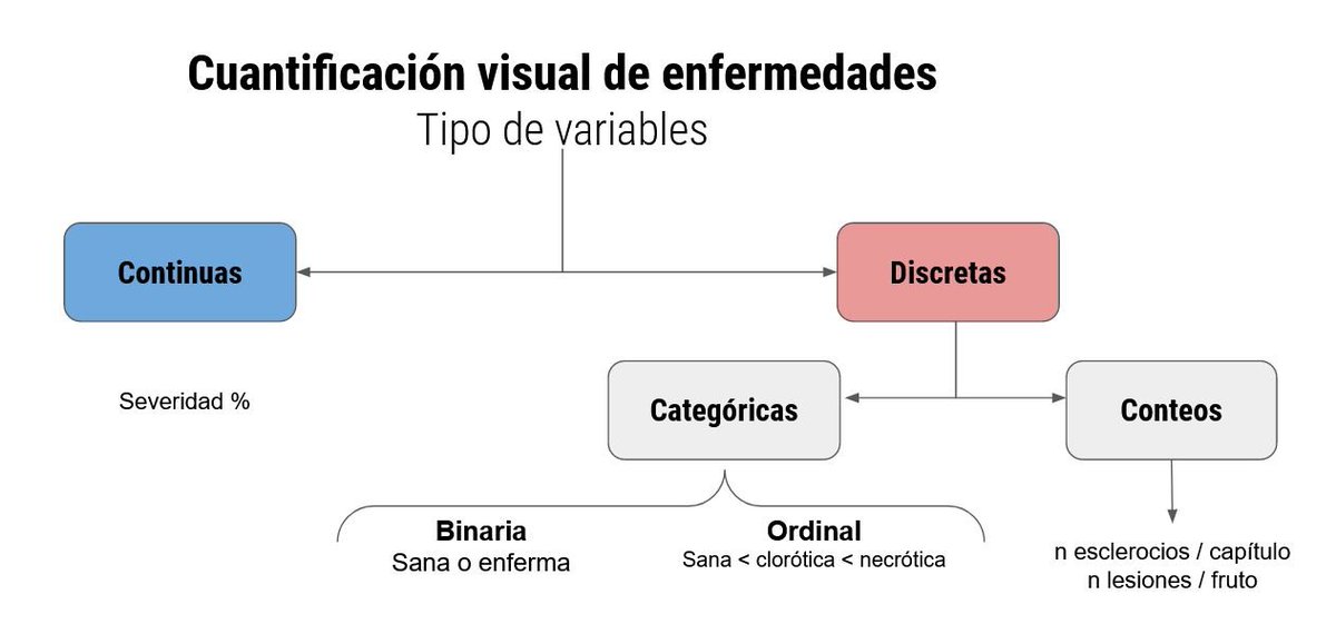 Cada métrica tiene su técnica analítica y enseñamos las bases en nuestro curso R_fito (requiere conocimientos básicos de R, asi metemos las manos en el barro desde el primer dia)  bit.ly/3KfBGXf