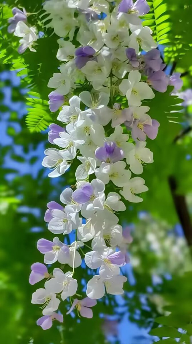 jinchen115's tweet photo. https://t.co/Lr8wPS1EHA