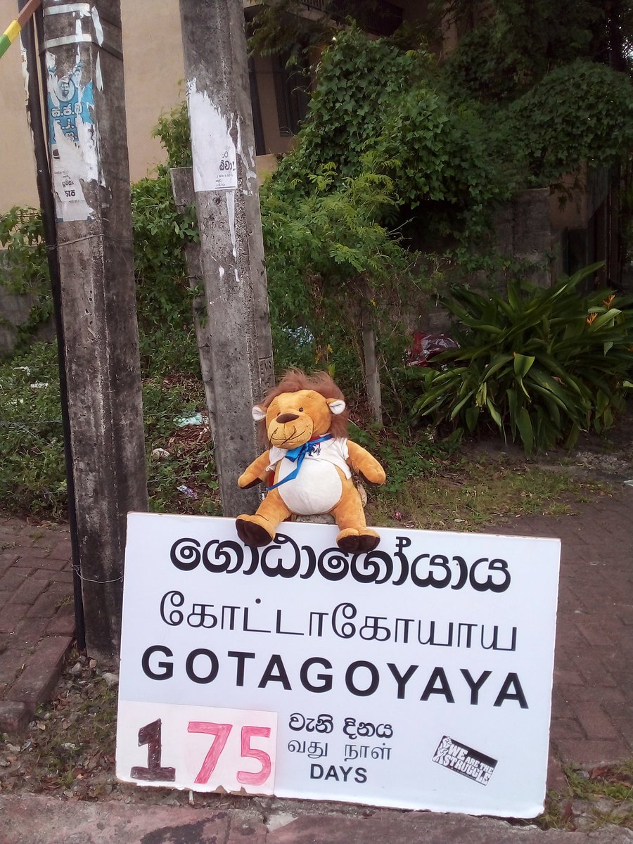 ChrisStephen80's tweet photo. 1 year of standing up for System change &amp; Accountability....

Day 175 at GGY - Wednesday 05th April
#FascistRanil
#RajapaksaTool
#Elections #RajapakshasGoHome #nomorefamilyrule #movementforchange #systemchange #SriLanka
#GotaGoYaya https://t.co/loxjzLEPZj
