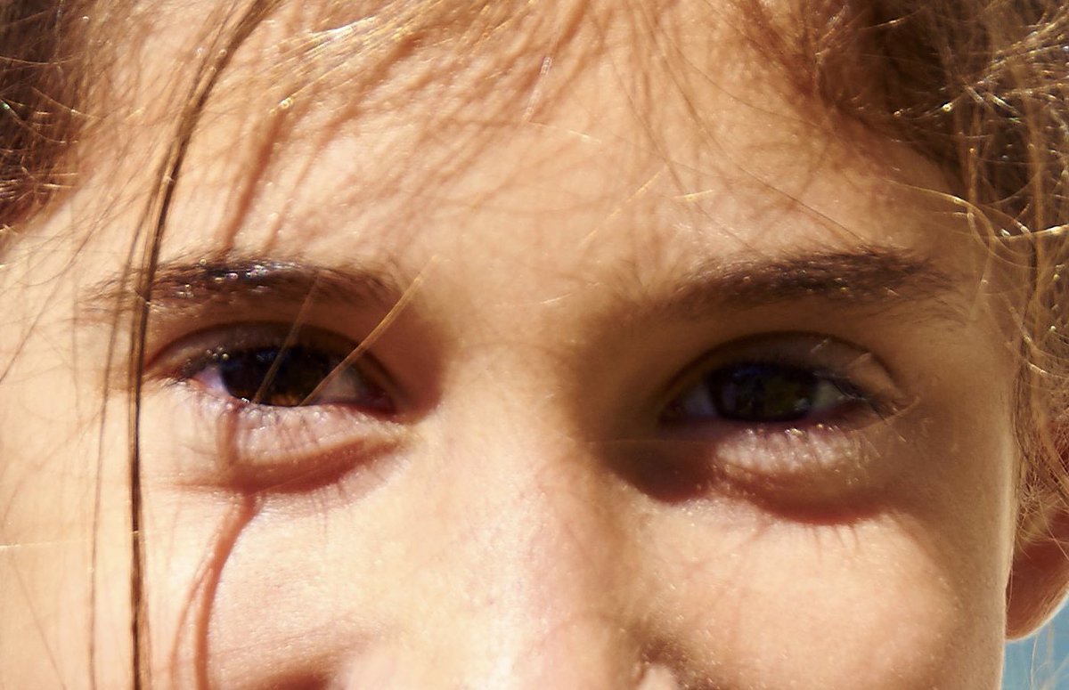 Ho se companyes
La mirada amiga
ens fa mes fortes
 
Concurs de haikus Santa Jordina 2023 #SantJordICS 
<a href="/icscat/">ICS. Generalitat</a>