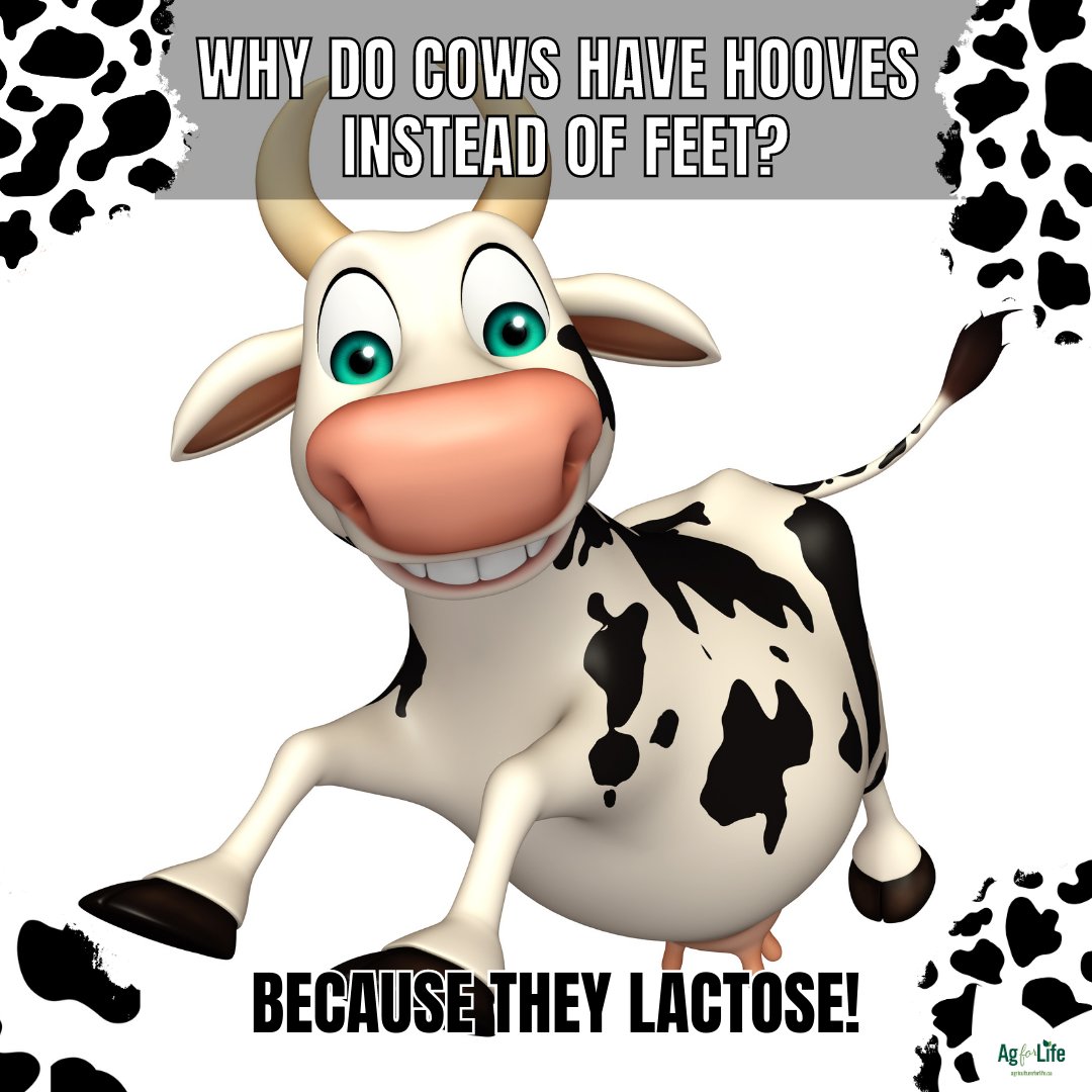 4AgForLife's tweet photo. Hope this joke puts you in a good moooood ๐
#farmfunny https://t.co/IrEc4uEx5o