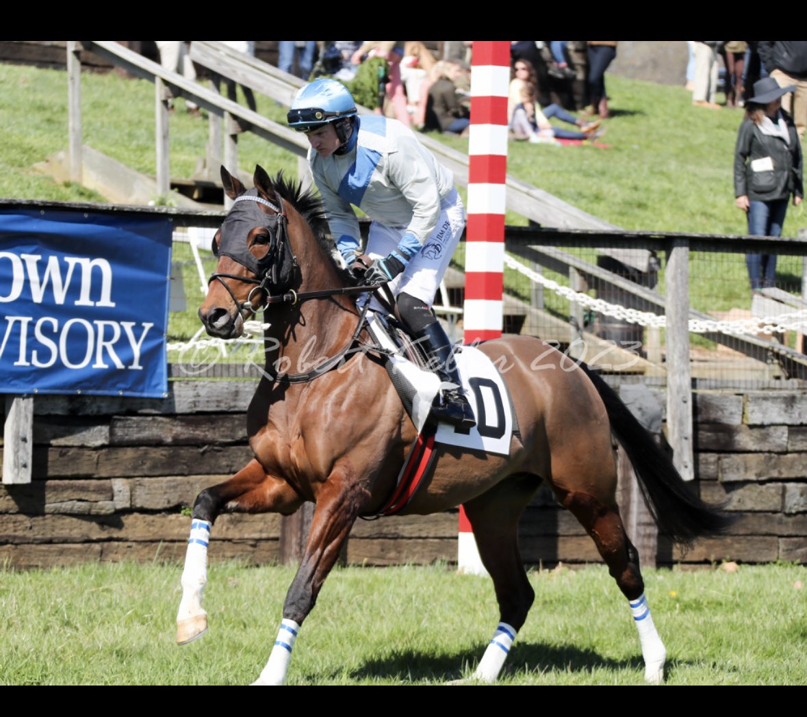 AshwellStable's tweet photo. REDICEAN (GB) getting warmed up for the season at the Green Spring Valley P2P under @MikeyHamill1 ‼️‼️🔜🔜
#SharonSheppard #horsefirstsupplments #youngracing #gojumpracing @LeslieYoung1 https://t.co/3hqPkZOKcu
