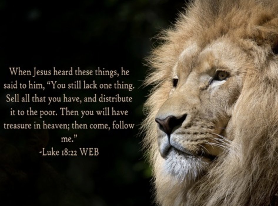 BibleFunmentionables tweet media